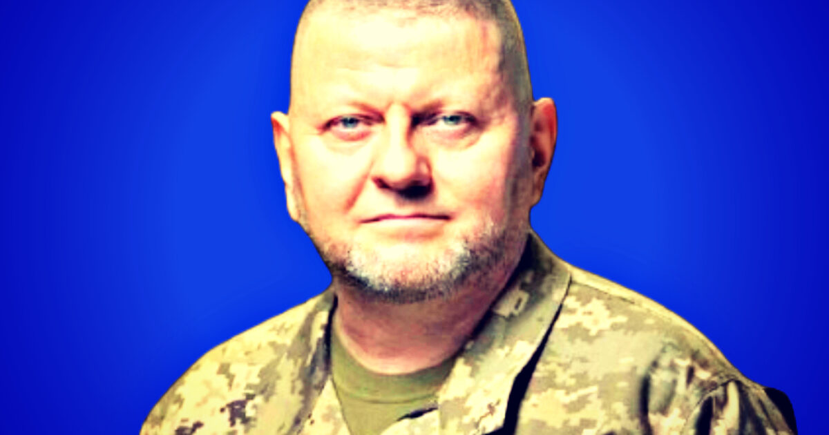 valery zaluzhny