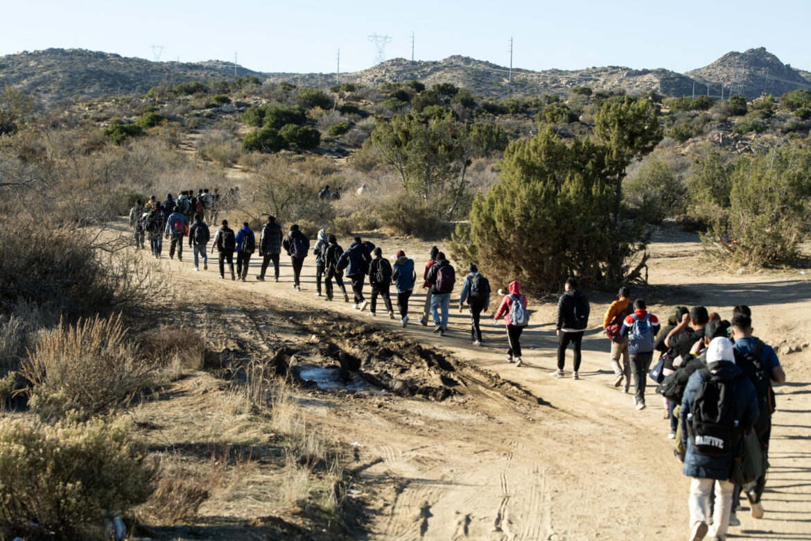 Biden's Priority Was Illegals, Legal Migration Is 'Utter Mess'