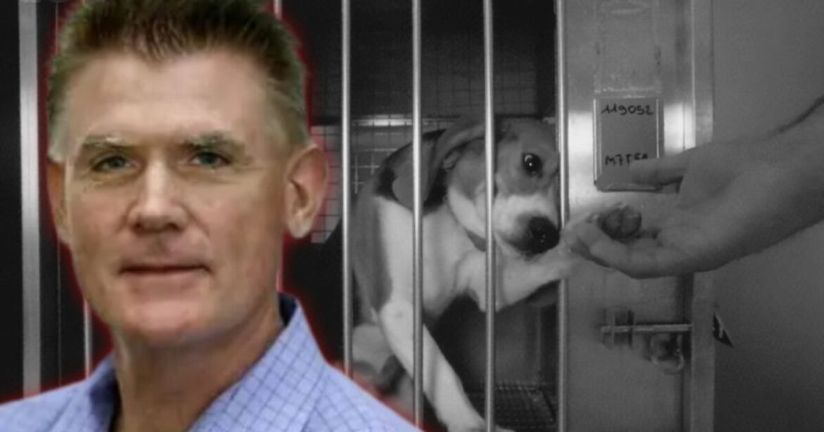 EXCLUSIVE: Federal Complaint Filed After NIH Bureaucrat Attacks Anti-Animal Testing Watchdog Group White Coat Waste, Goes After Board Members | The Gateway Pundit
