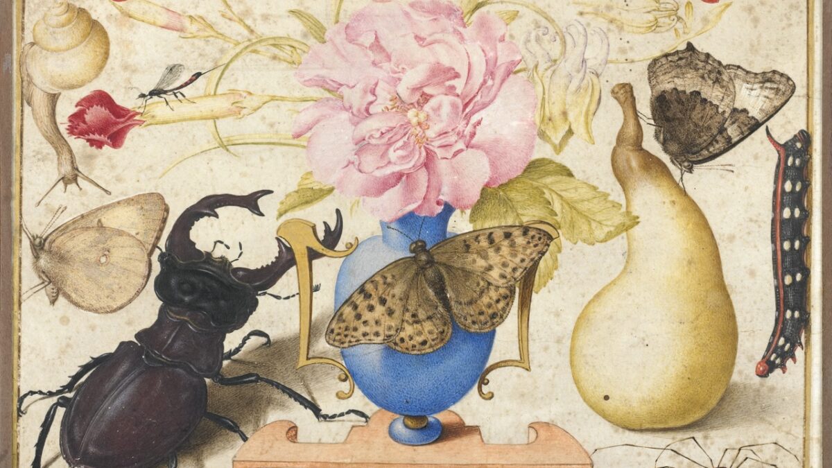 Allegory for Johannes Radermacher painting